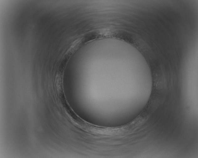 X0000050710036200506151859