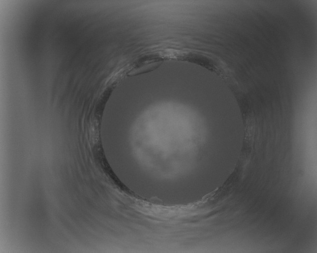 X0000050710043200506151859