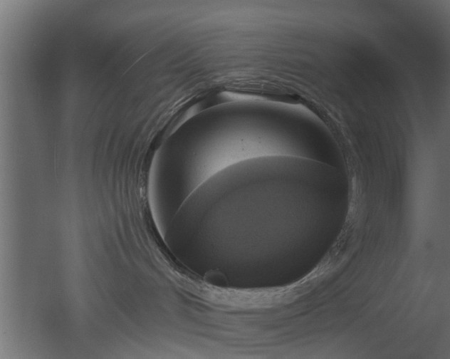 X0000050710048200506151859