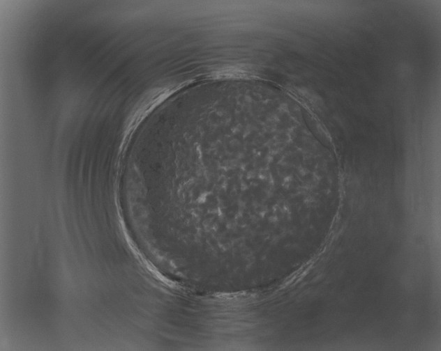 X0000050710049200506151858