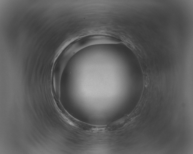 X0000050710052200506151858