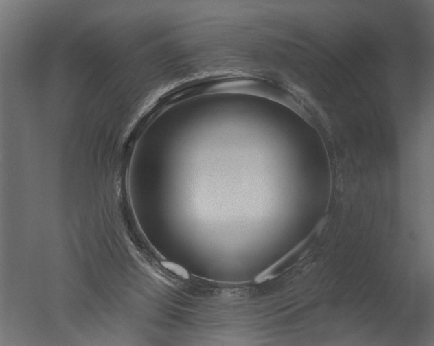 X0000050710060200506151858