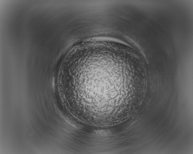 X0000050710067200506151858