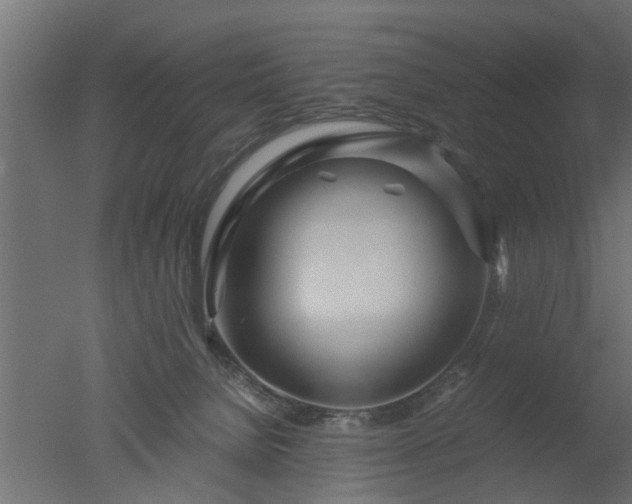 X0000050710080200506151859