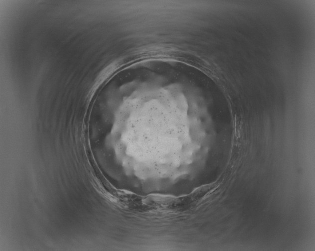 X0000050710099200506151858