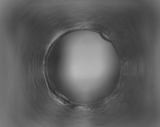 X0000050710100200506151858