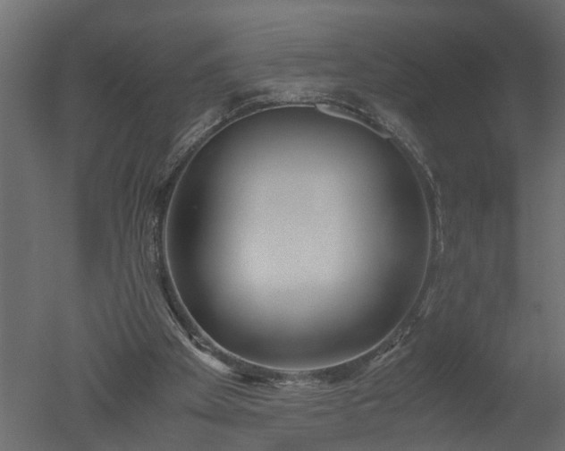 X0000050710105200506151858