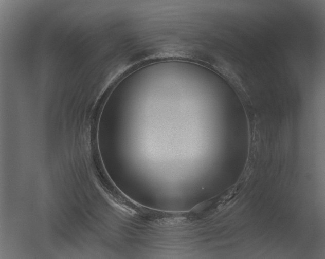 X0000050710108200506151858
