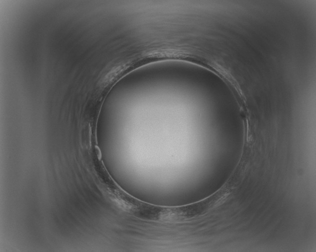X0000050710109200506151858