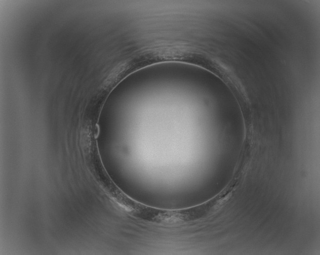 X0000050710113200506151858