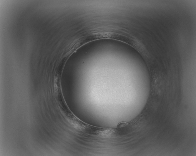 X0000050710122200506151858