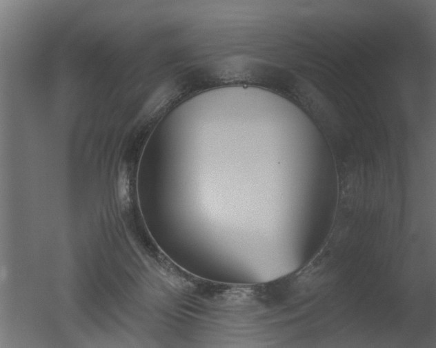 X0000050710124200506151858