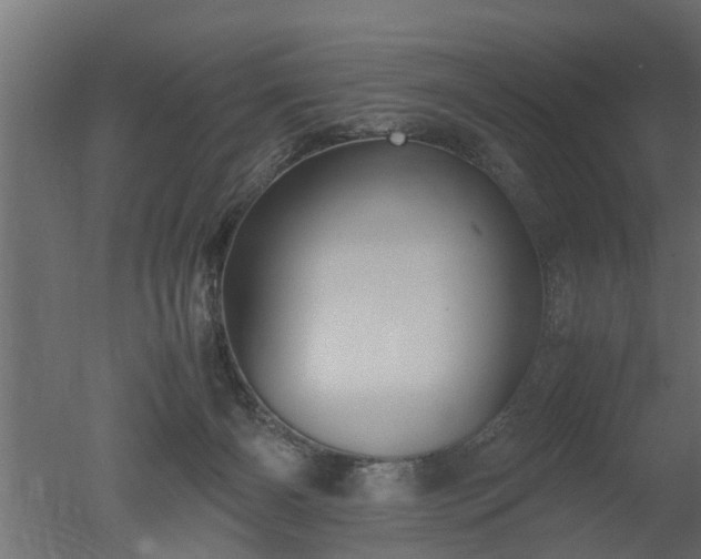 X0000050710126200506151858