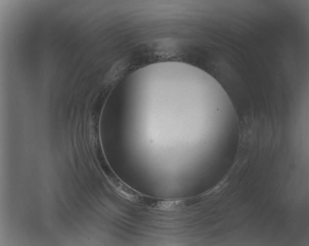 X0000050710136200506151857