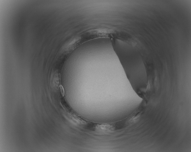 X0000050710137200506151857