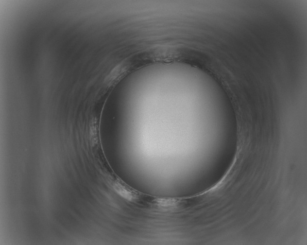 X0000050710144200506151857