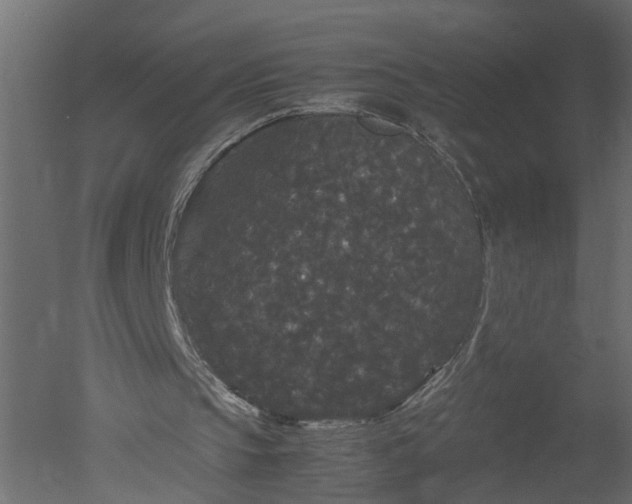 X0000050710145200506151856