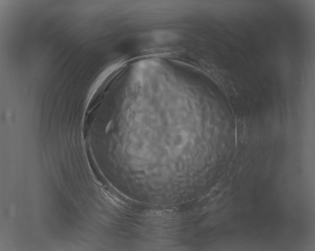 X0000050710147200506151856