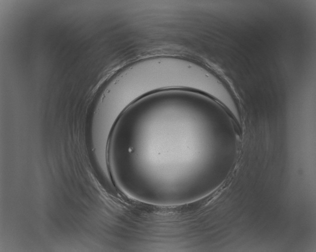 X0000050710154200506151857