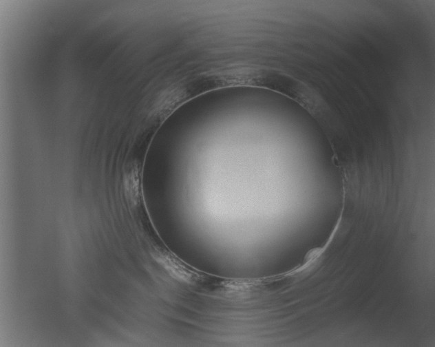 X0000050710190200506151857