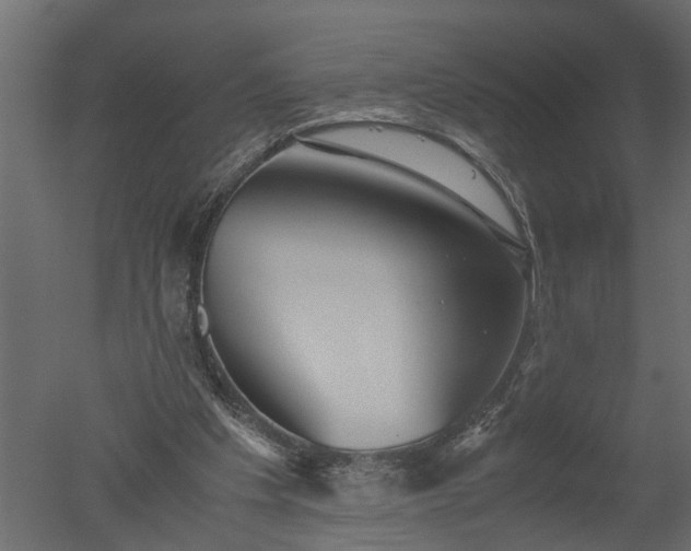 X0000050710201200506151856