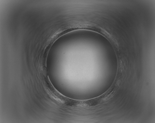 X0000050710203200506151856