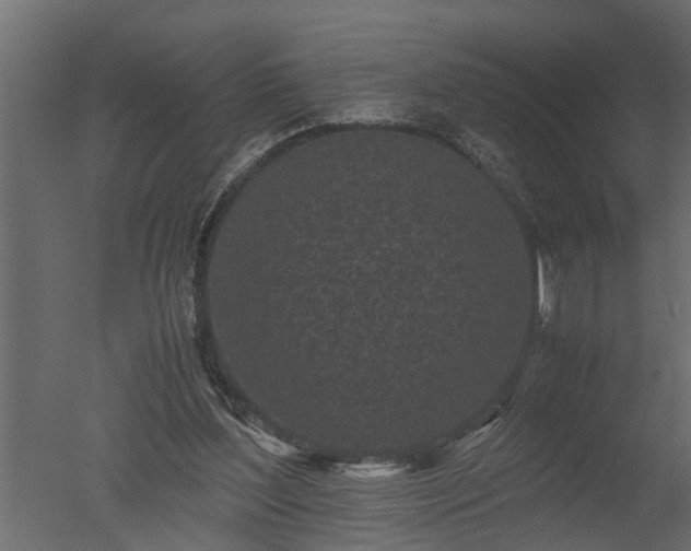 X0000050710204200506151856