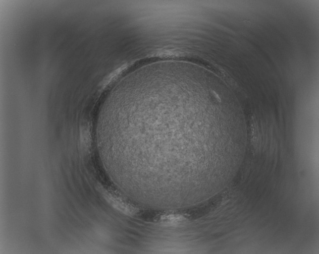 X0000050710208200506151856