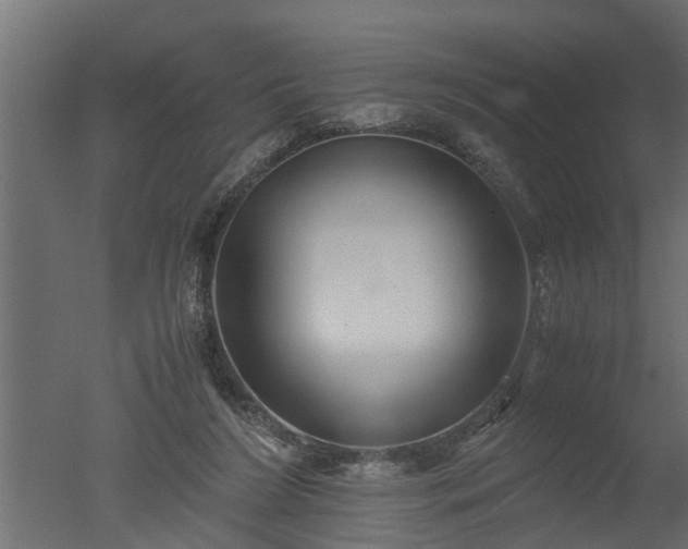 X0000050710212200506151856