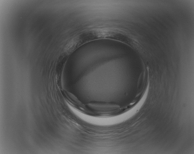 X0000050710219200506151856