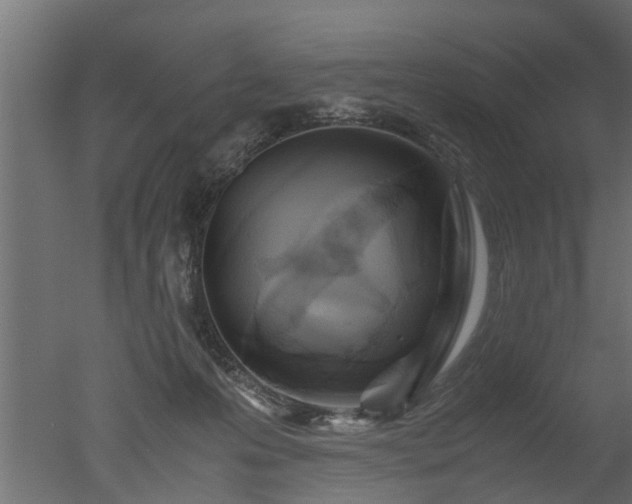 X0000050710223200506151856