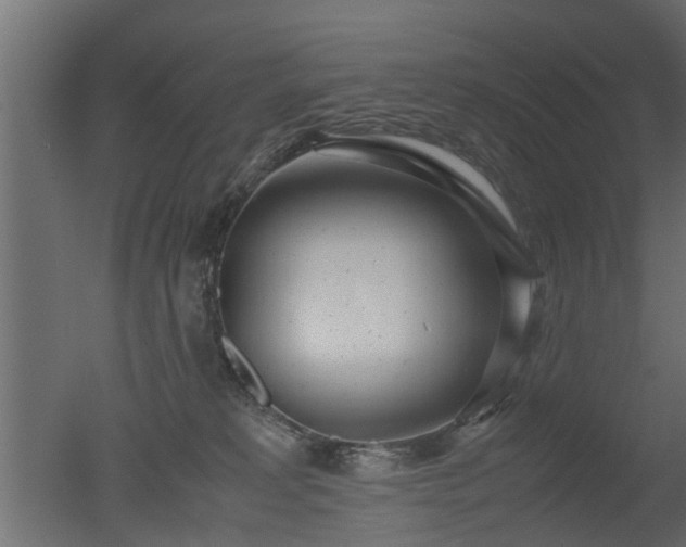 X0000050710229200506151856