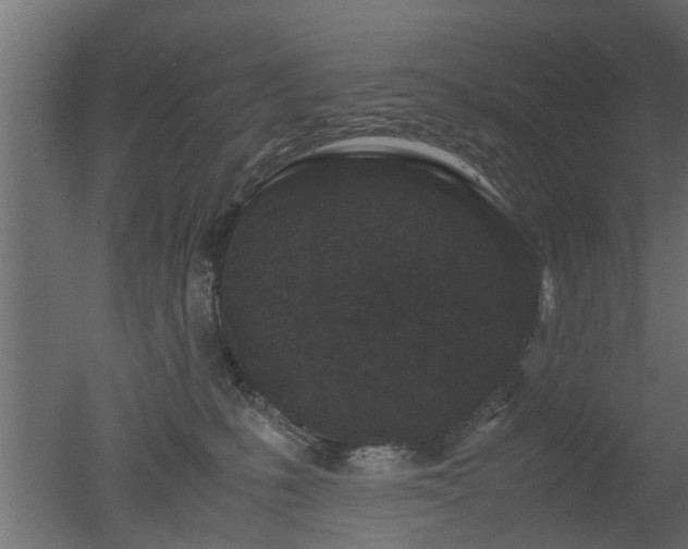 X0000050710231200506151856