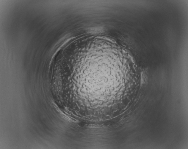 X0000050710243200506151855
