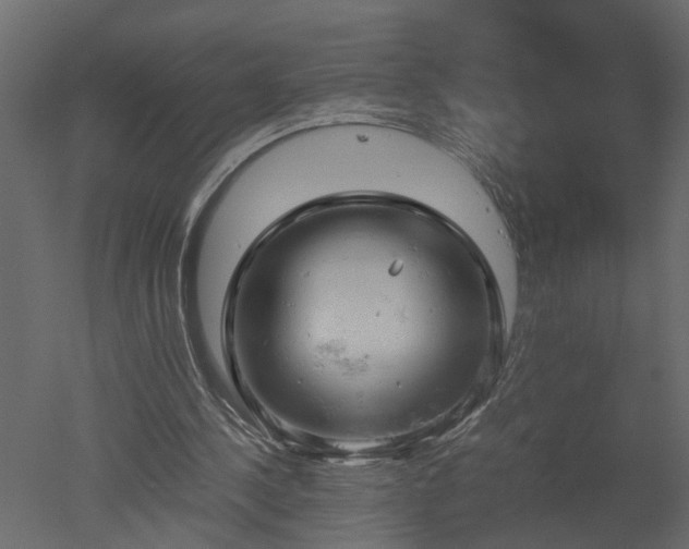 X0000050710244200506151855