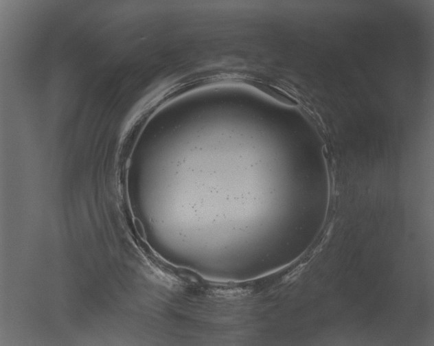 X0000050710245200506151855