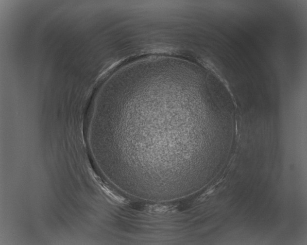 X0000050710249200506151855