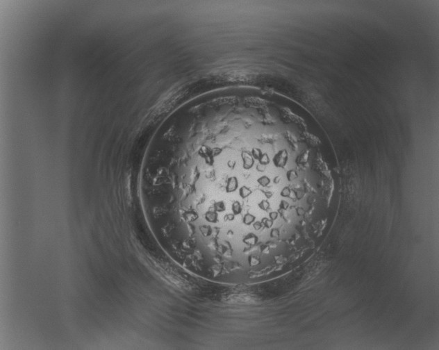X0000050710262200506151855