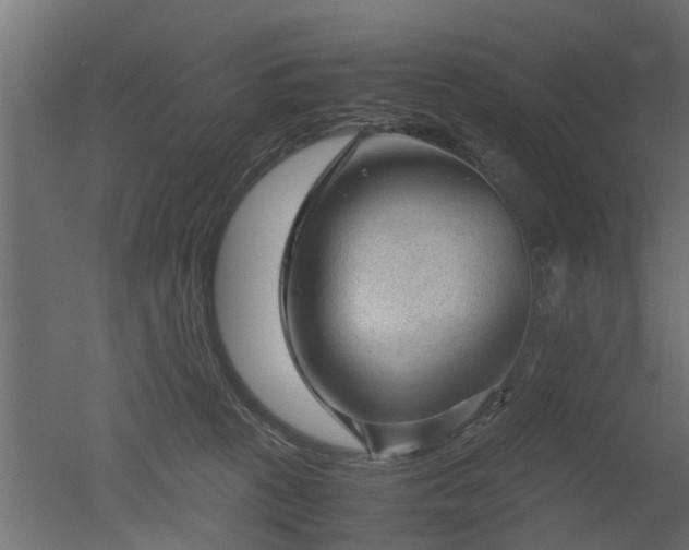 X0000050710273200506151855