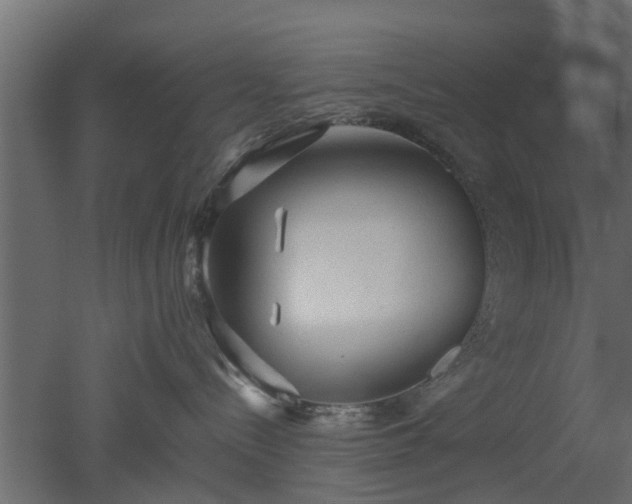 X0000050710288200506151856