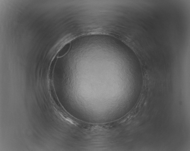 X0000050710290200506151855