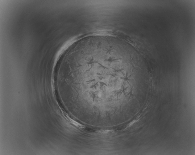 X0000050710294200506151855