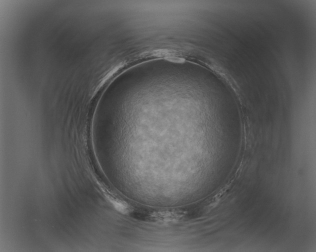 X0000050710297200506151855