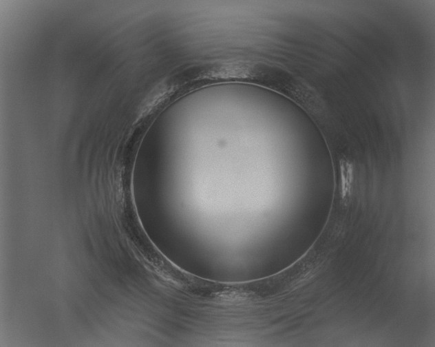 X0000050710300200506151855