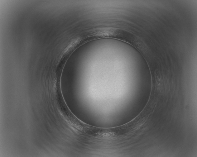 X0000050710304200506151854