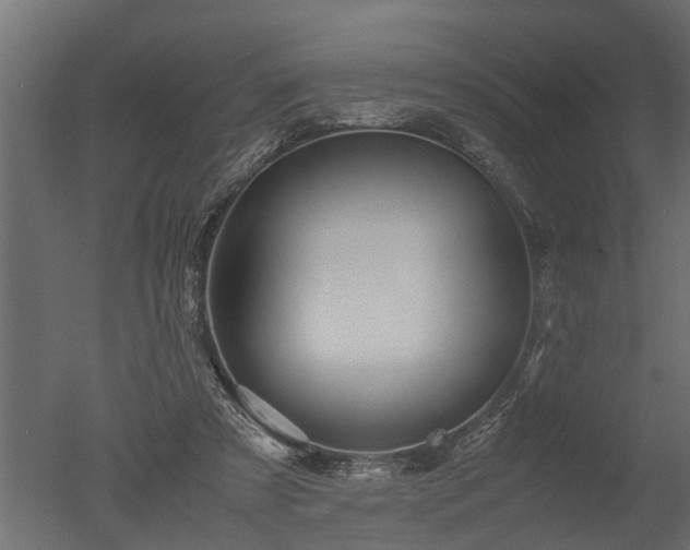 X0000050710305200506151854