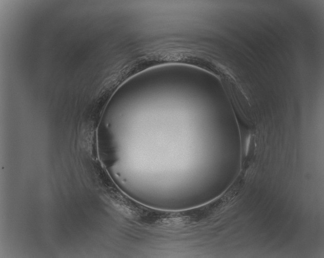 X0000050710307200506151854