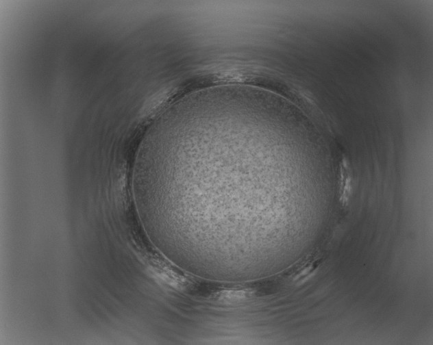 X0000050710314200506151854