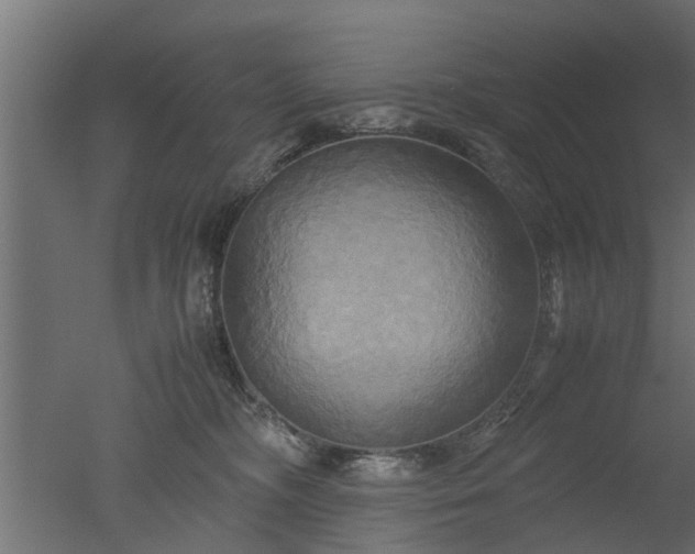 X0000050710326200506151854