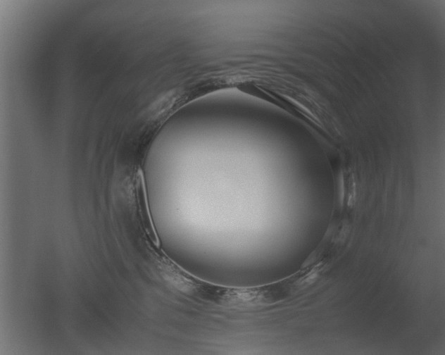 X0000050710329200506151854